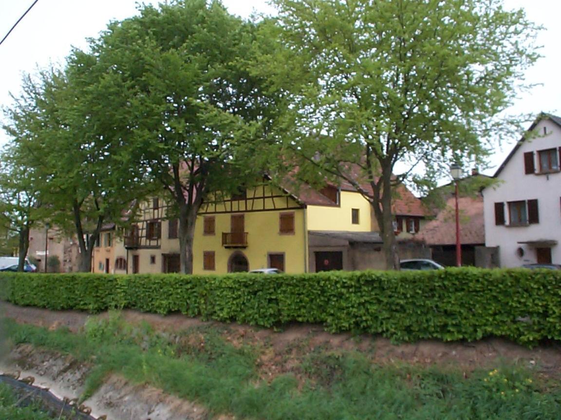 La Maison Jaune Ammerschwihr Exterior foto